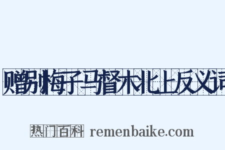 赠别梅子马督木北上反义词是什么意思的图片